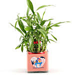 Two Layer Bamboo Plant In Love Vase & Red Teddy
