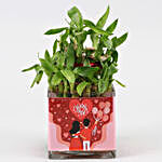 Two Layer Bamboo Plant In You N Me Vase & Red Heart
