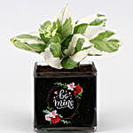 White Pothos Plant In Be Mine Vase & Red Heart