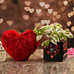 White Pothos Plant In Love You Vase & Red Heart