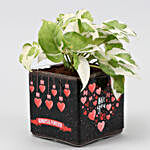 White Pothos Plant In Love You Vase & Teddy