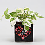 White Pothos Plant In Love You Vase & Teddy