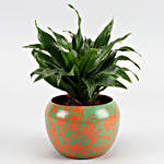 Dracena Plant In Orange & Green Abstract Metal Pot