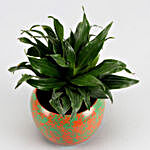 Dracena Plant In Orange & Green Abstract Metal Pot