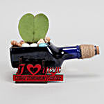 Hoya Plant In ILU Antiquity Bottle Planter & Love Umbrella Card