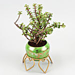 Jade Plant In Green Glittery Pot & Love Umbrella Card