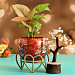 Syngonium Plant In Red Glittery Pot & Wish Tree