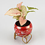 Syngonium Plant In Red Glittery Pot & Wish Tree