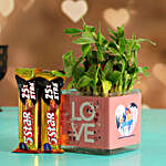 Two Layer Bamboo Plant In Love Sticker Vase & 5 Star