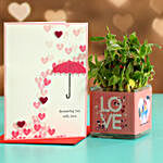 Two Layer Bamboo Plant In Love Sticker Vase & Love Umbrella Card