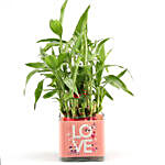 Two Layer Bamboo Plant In Love Sticker Vase & Necklace Set