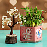 Two Layer Bamboo Plant In Love Sticker Vase & Wish Tree