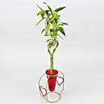 Bamboo Heart Stick Plant In Red Cone Golden Stand