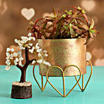 Campfire Plant In Gold Finish Pot & Wish Tree