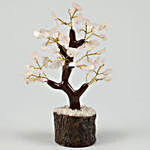 Campfire Plant In Gold Finish Pot & Wish Tree