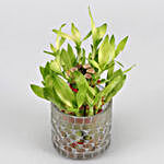 2 Layer Bamboo In Frosted Glass Mosaic Pot