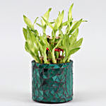 2 Layer Bamboo In Leaf Motif Glass Pot