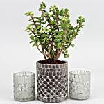 Jade Plant In Glass Mosaic Pot And Frosted Votive Set