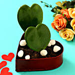 Hoya Plant In Red Heart Pot