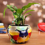 Peace Lily Plant In Pebbles Printed Pot