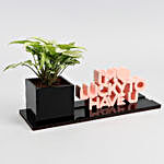 Syngonium Plant In I m Lucky To Have You Table Top Planter