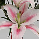 Pink Oriental Lilies In Red Glass Vase
