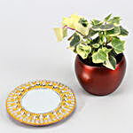 English Ivy Plant In Teak Pot And Beautiful Mirror Plate
