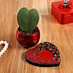 Hoya Plant In Red Pot And Mandala Heart Plate
