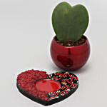 Hoya Plant In Red Pot And Mandala Heart Plate
