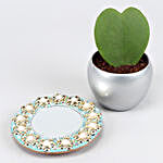 Hoya Plant In Silver Pot And Sky Beautiful Mirror Plate