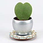 Hoya Plant In Silver Pot And Sky Beautiful Mirror Plate