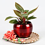 Red Philodendron Plant In Red Pot And Pink Floral Plate