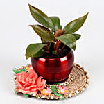 Red Philodendron Plant In Red Pot And Pink Floral Plate