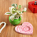 White Pothos Plant In Green Pot And Pink Heart Plate