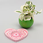 White Pothos Plant In Green Pot And Pink Heart Plate