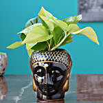 Money Plant Exquisite Golen & Black Ceramic Pot
