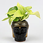Money Plant Exquisite Golen & Black Ceramic Pot
