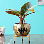 Red Philodendron In Golden Metal Pond With Stand