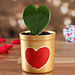 Hoya Plant In Handmade Love Pot
