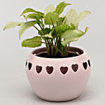 Syngonium Plant In White Heart Pot & Candle Pot