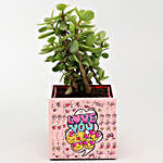 Jade Plant In Love Pink Pot With Decorative Quote