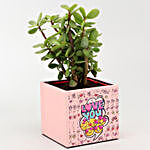 Jade Plant In Love You Pot With Frame