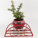 Jade Plant In Printed Pot With Love Stand