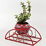 Jade Plant In Printed Pot With Love Stand