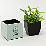 Two Layer Bamboo In Hugs Kisses Pot