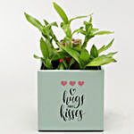 Two Layer Bamboo In Hugs Kisses Pot With Frame