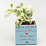 White Pothos Plant In Love Special Pot With Frame