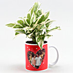 Personalised White Pothos Plant In Couple Mug