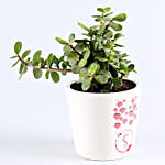 Jade Plant In Personalised Ceramic Vase