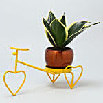 Milt Sansevieria Plant In Metal Pot On Yellow Rickshaw